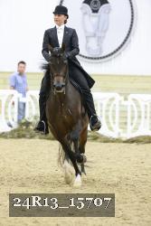 24R13_15707 thumbnail