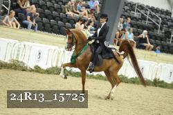 24R13_15725 thumbnail