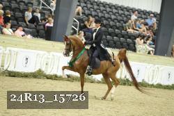 24R13_15726 thumbnail