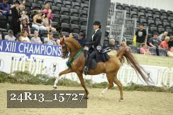 24R13_15727 thumbnail