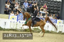 24R13_15728 thumbnail