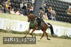 24R13_15729 thumbnail