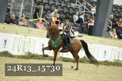 24R13_15730 thumbnail