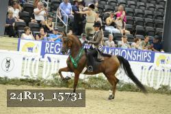 24R13_15731 thumbnail