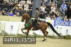 24R13_15732 thumbnail