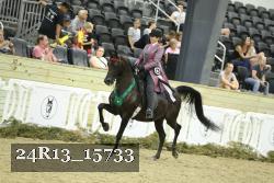 24R13_15733 thumbnail