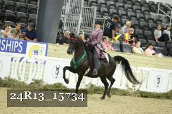 24R13_15734 thumbnail