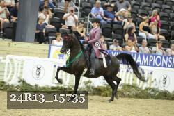 24R13_15735 thumbnail