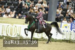 24R13_15736 thumbnail