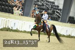 24R13_15737 thumbnail