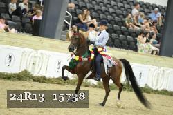24R13_15738 thumbnail
