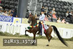 24R13_15739 thumbnail
