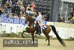 24R13_15740 thumbnail