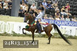 24R13_15741 thumbnail