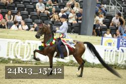 24R13_15742 thumbnail