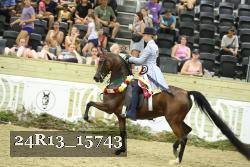 24R13_15743 thumbnail