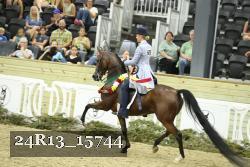 24R13_15744 thumbnail