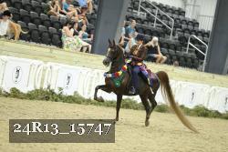 24R13_15747 thumbnail