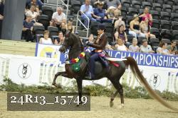 24R13_15749 thumbnail