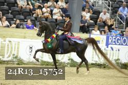 24R13_15752 thumbnail