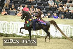 24R13_15753 thumbnail