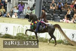 24R13_15755 thumbnail