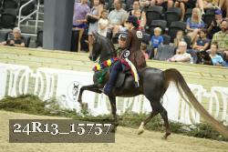 24R13_15757 thumbnail