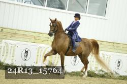 24R13_15764 thumbnail