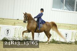 24R13_15765 thumbnail