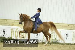 24R13_15766 thumbnail