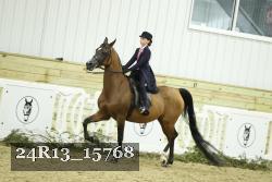 24R13_15768 thumbnail