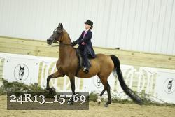 24R13_15769 thumbnail