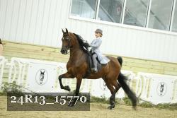 24R13_15770 thumbnail