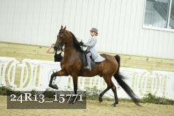 24R13_15771 thumbnail