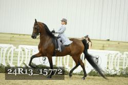 24R13_15772 thumbnail