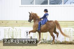 24R13_15773 thumbnail
