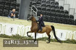 24R13_15774 thumbnail