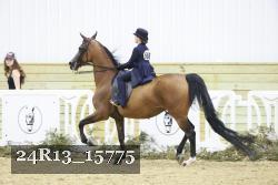 24R13_15775 thumbnail