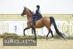 24R13_15776 thumbnail