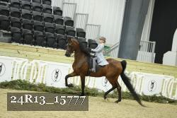 24R13_15777 thumbnail