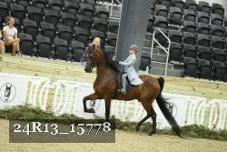 24R13_15778 thumbnail