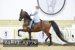 24R13_15779 thumbnail