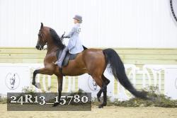 24R13_15780 thumbnail