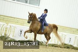 24R13_15781 thumbnail