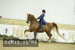 24R13_15782 thumbnail