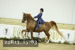 24R13_15783 thumbnail