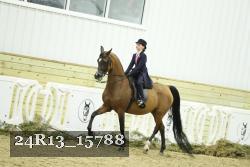 24R13_15788 thumbnail