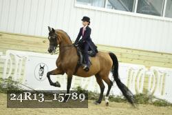 24R13_15789 thumbnail