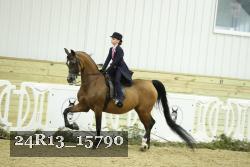 24R13_15790 thumbnail