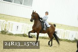 24R13_15794 thumbnail